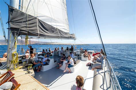 Embark on an Unforgettable Journey with the Magic Catamaran Palka
